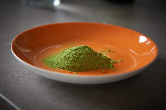 Moringa na odchudzanie – analiza i opinie