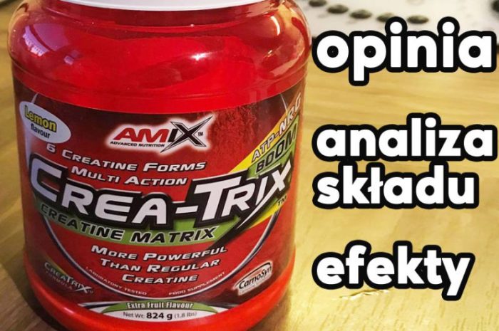 Amix Crea-Trix – opinia, test