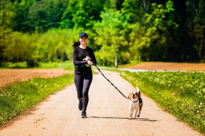 Jak zacząć prawidłowo biegać z psem?