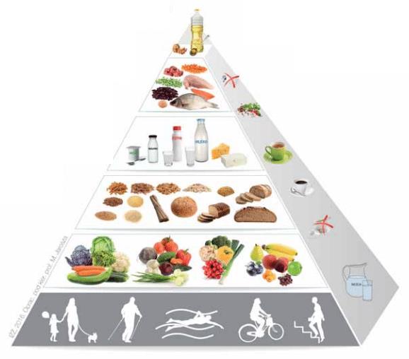 piramida zdrowego zywienia dla doroslych